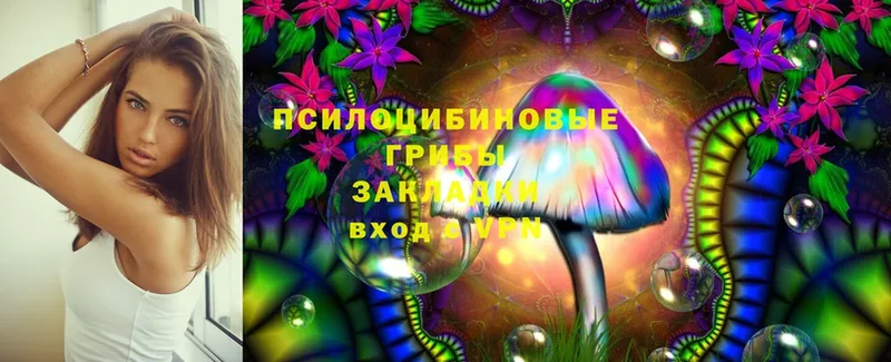 купить   Грязи  даркнет какой сайт  Псилоцибиновые грибы Magic Shrooms 